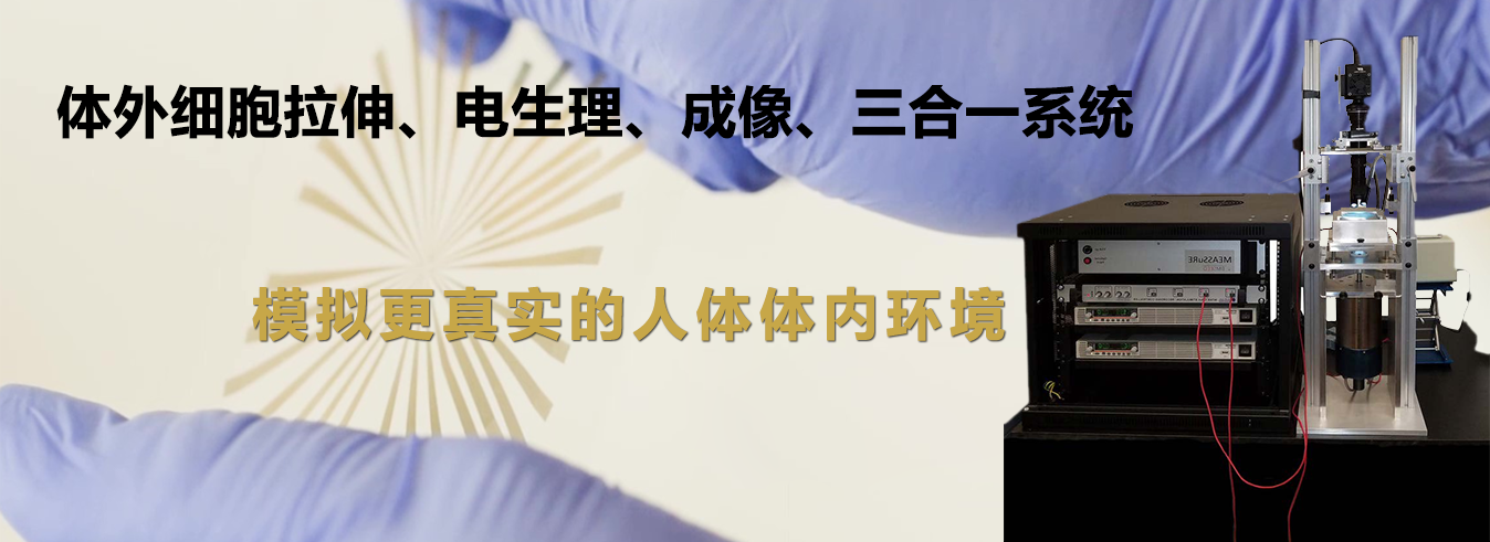 公司介绍
